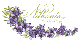 1. Logo Nilkanta-sin fondo